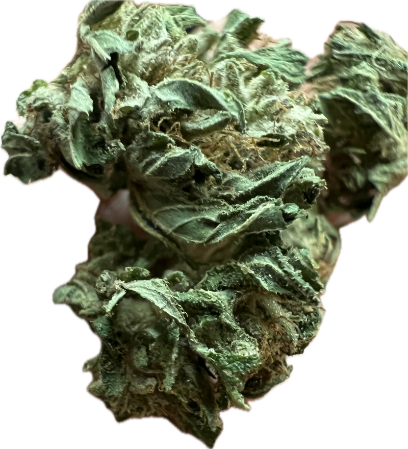 Premium Flowers