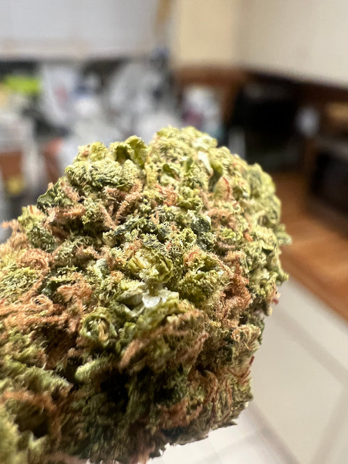 Cherry Abacus CBD Hemp Flower