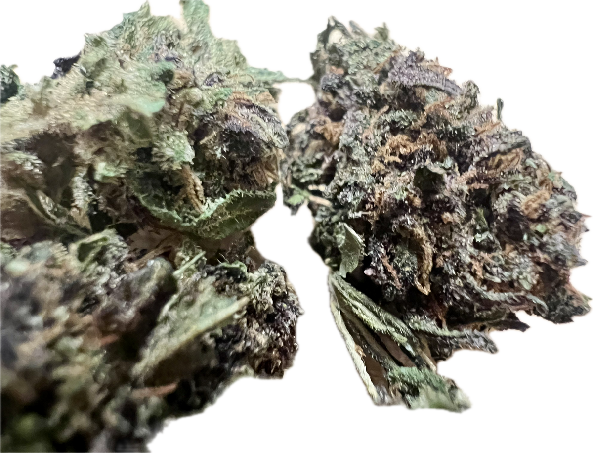 Legendary Platinum OG CBD Hemp Flowers