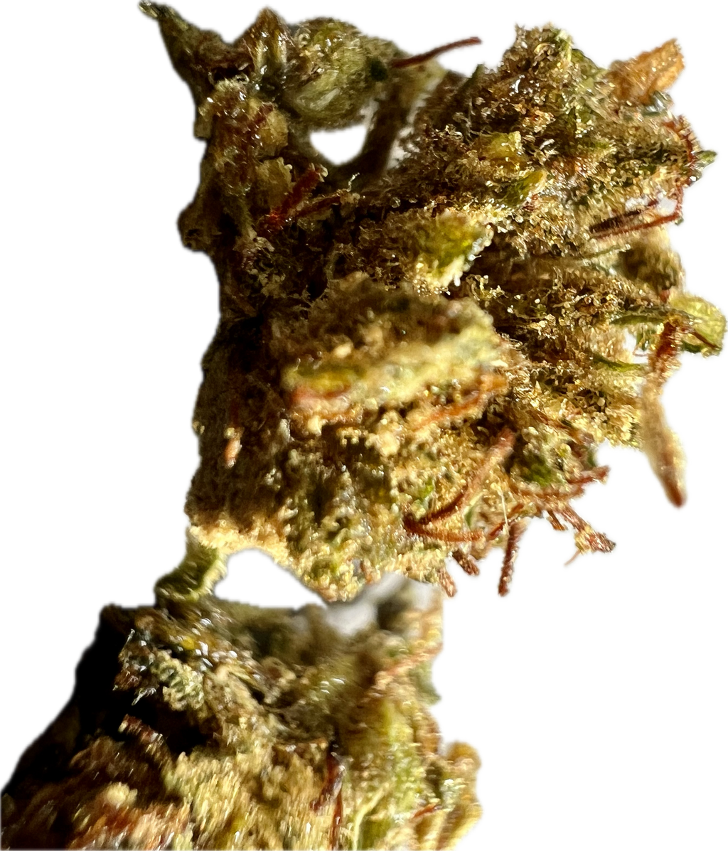 Super Sour Lifter THCA Hemp Flower