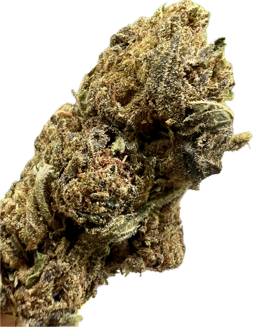 Black Truffle THCA Hemp Flowers