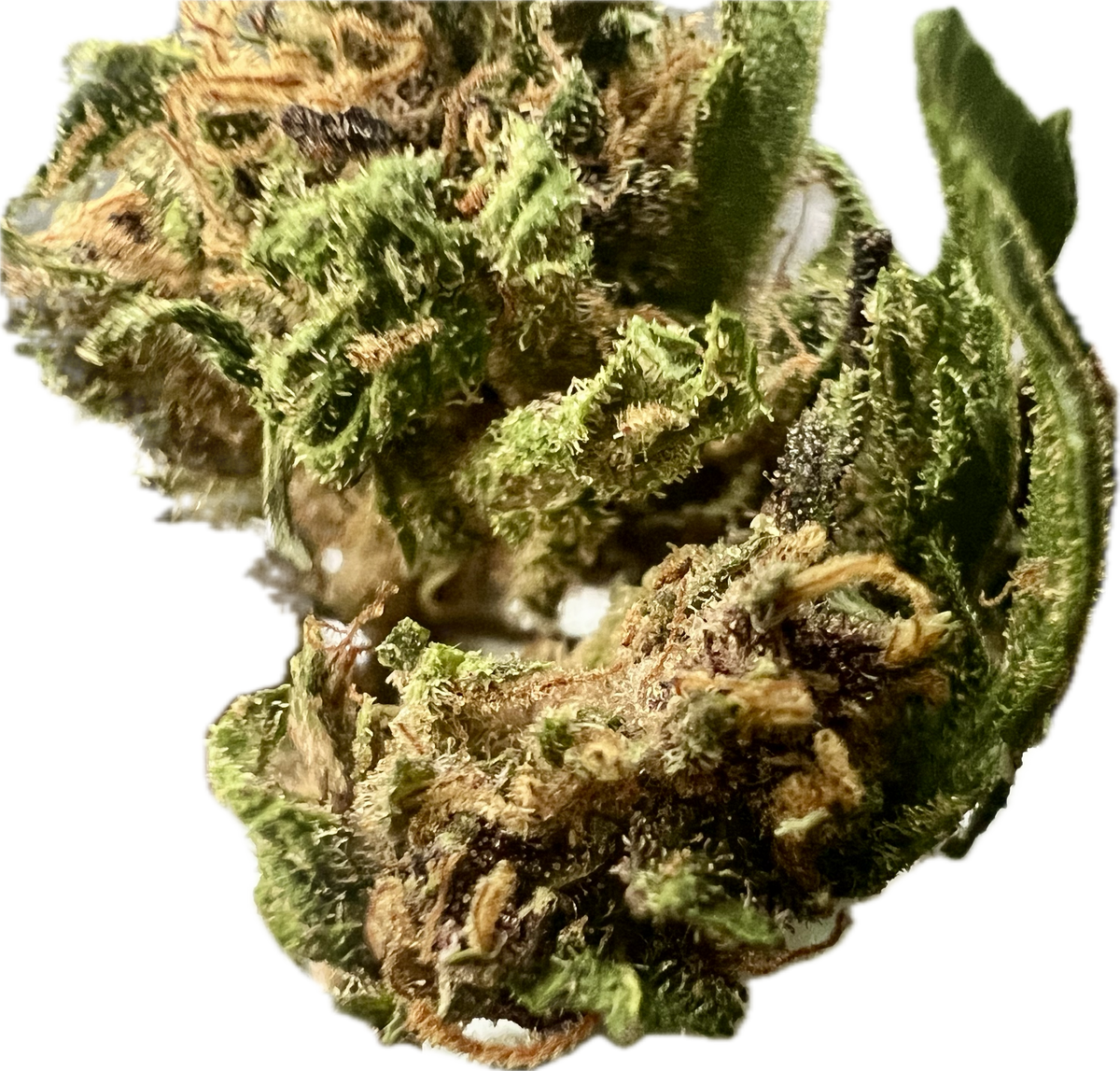 Legendary Platinum OG CBD Hemp Flowers