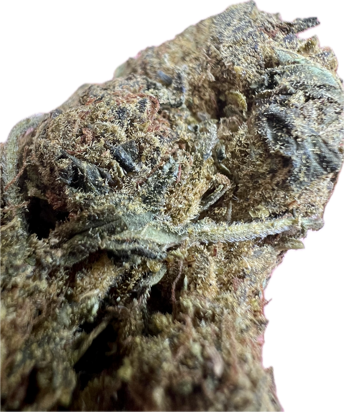 Black Truffle THCA Hemp Flowers