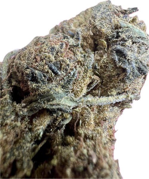 Black Truffle THCA Hemp Flowers