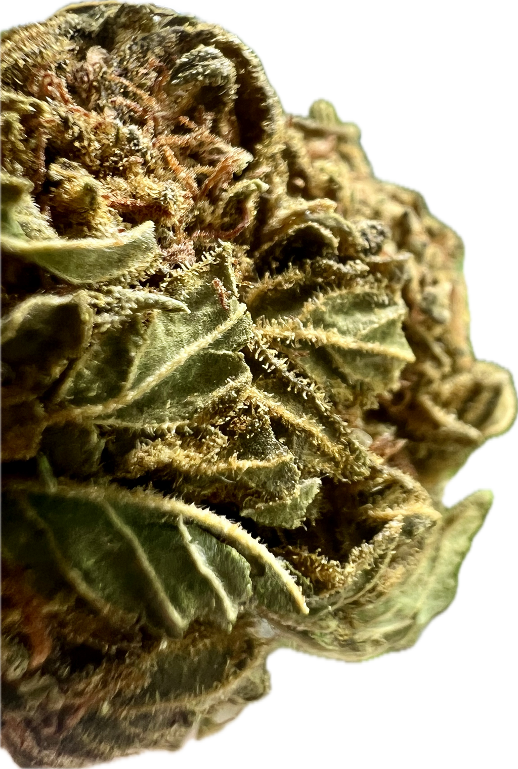 Crack Smuggler THCA Hemp Flower