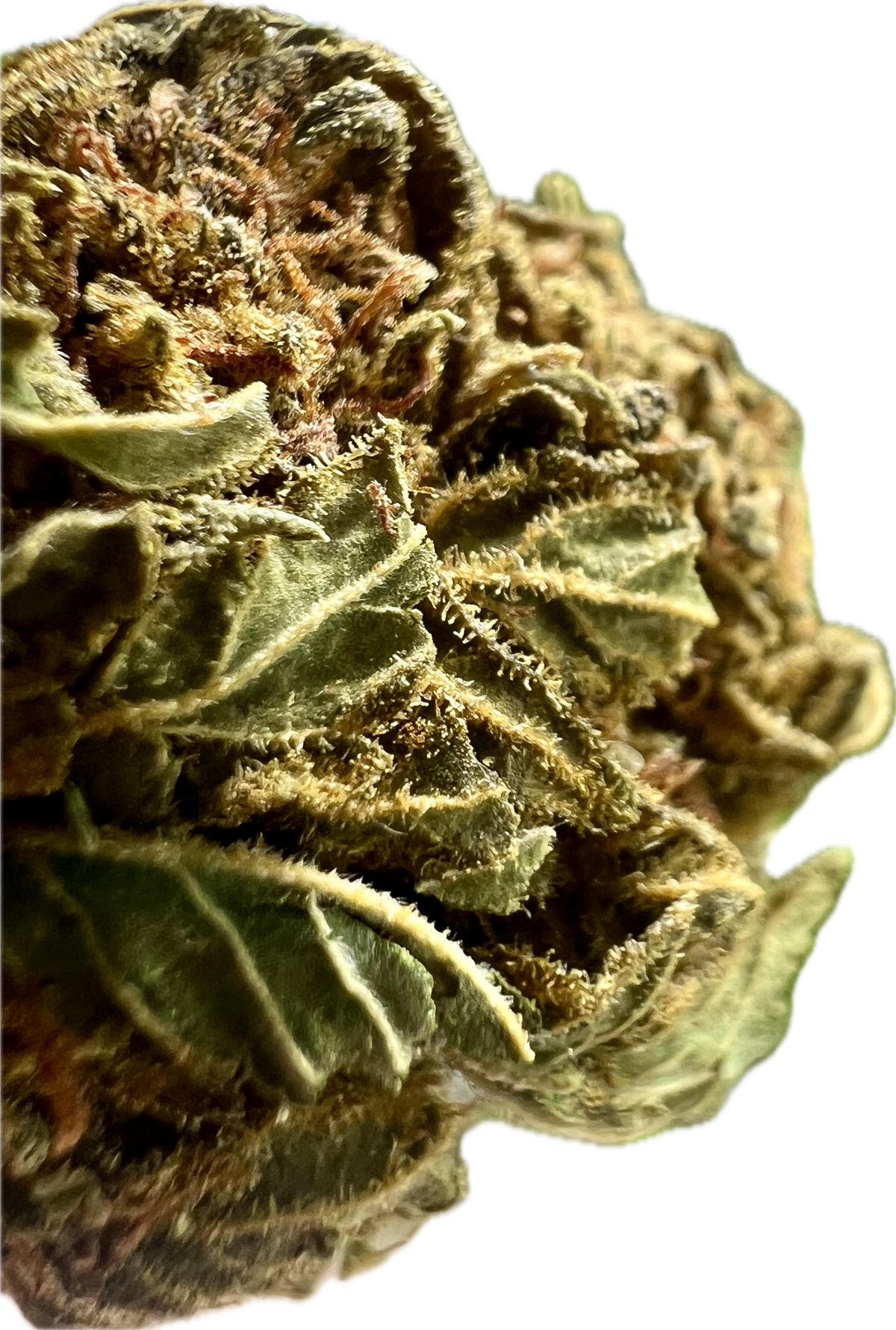 Crack Smuggler THCA Hemp Flower