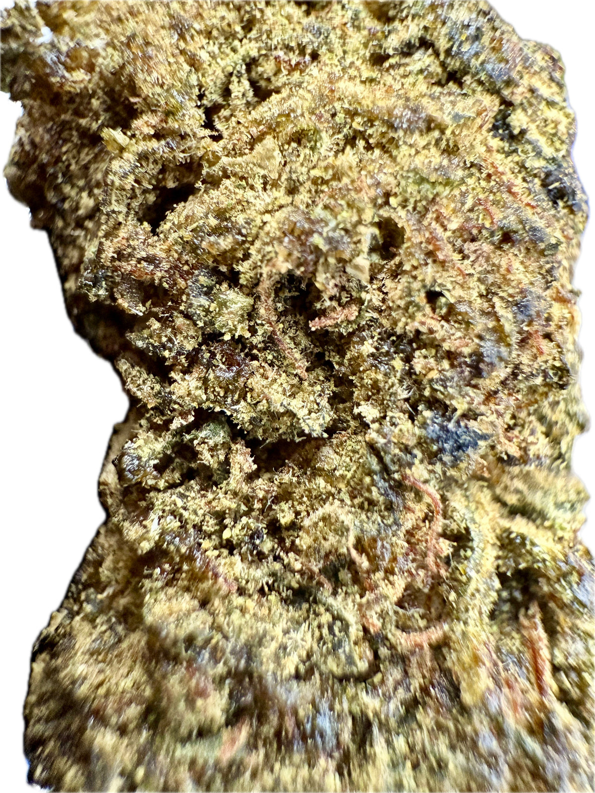 Sour Hawaiian Haze THCA Hemp Flower