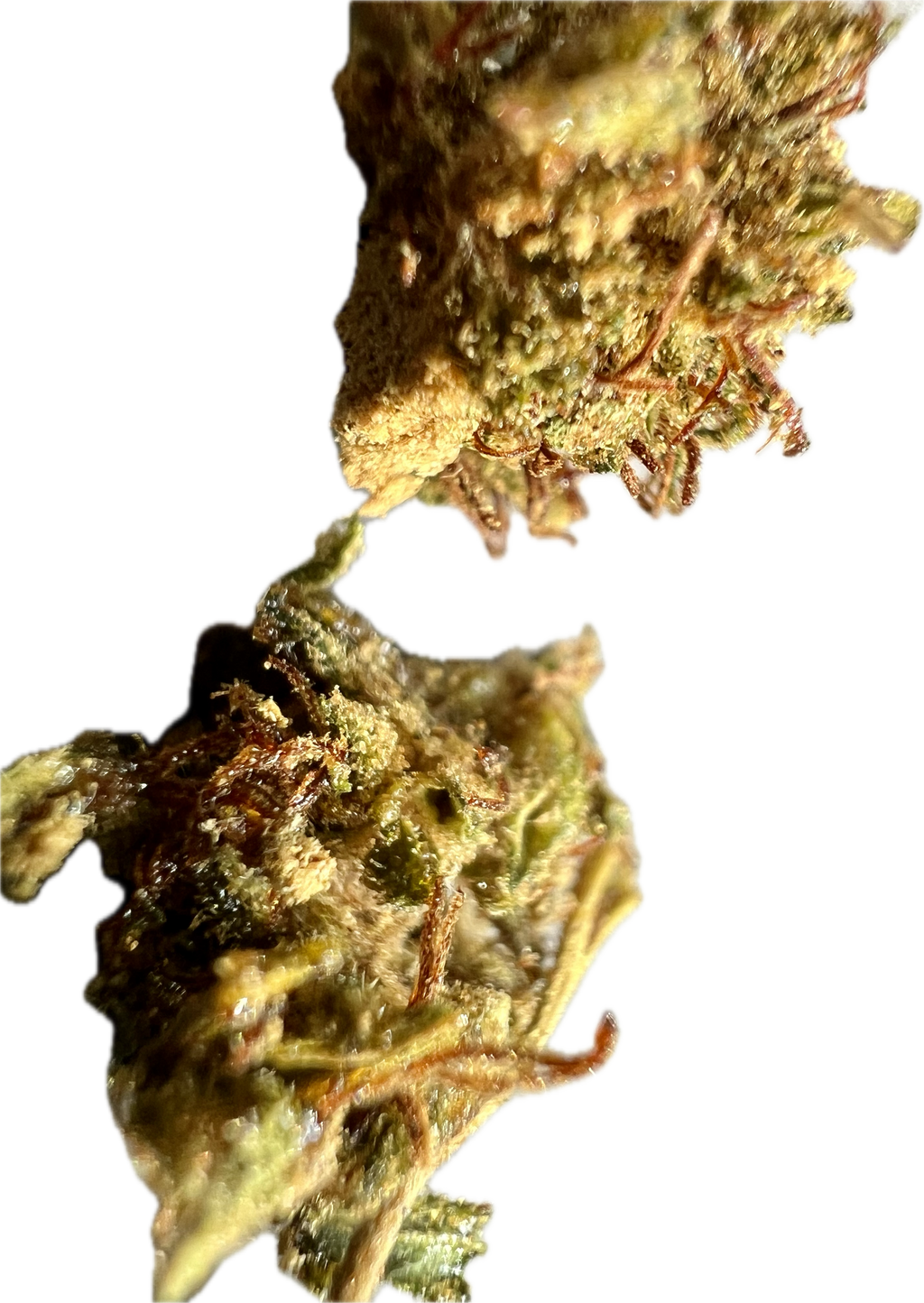 Super Sour Lifter THCA Hemp Flower