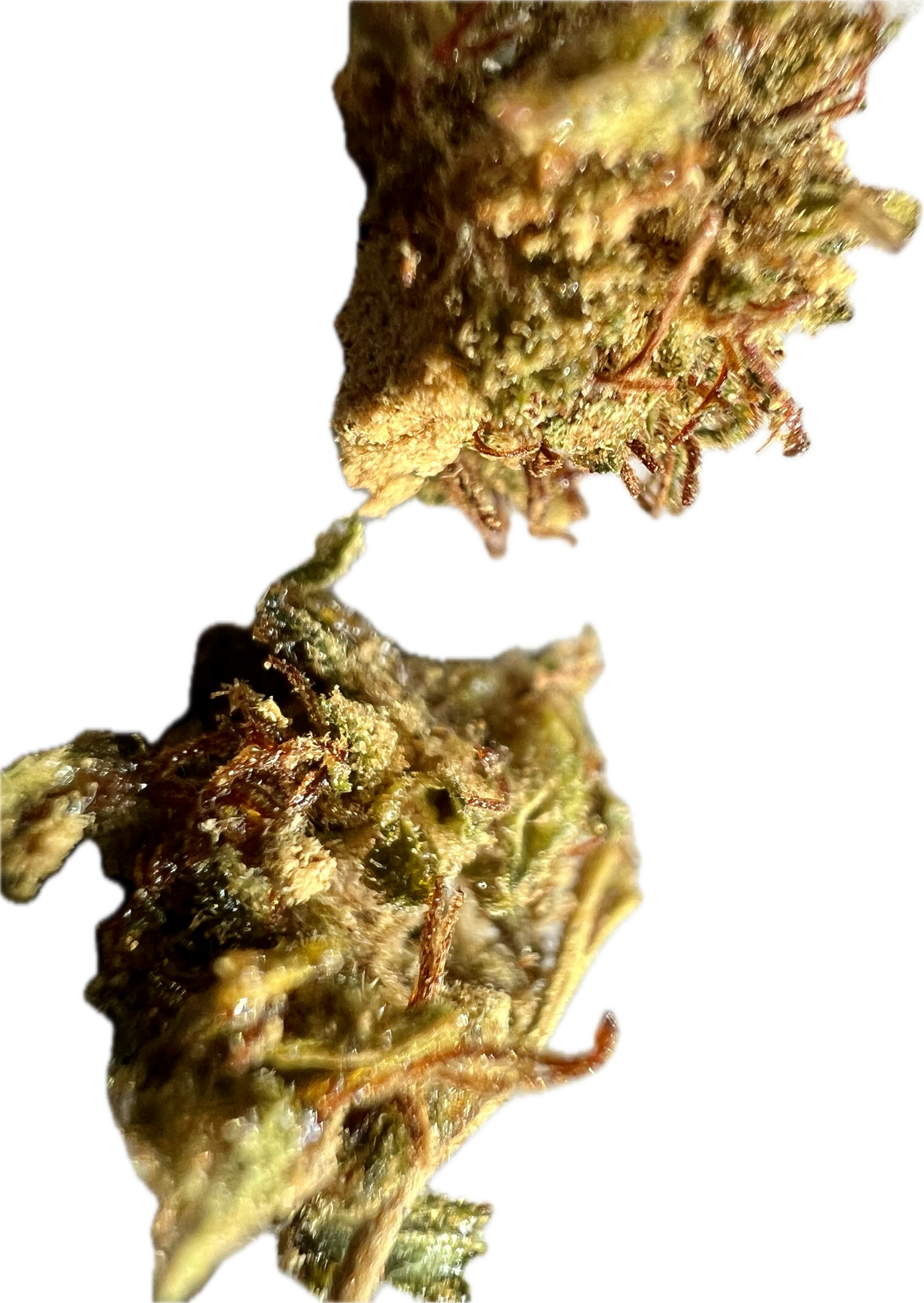 Super Sour Lifter THCA Hemp Flower