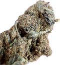 Black Truffle THCA Hemp Flowers