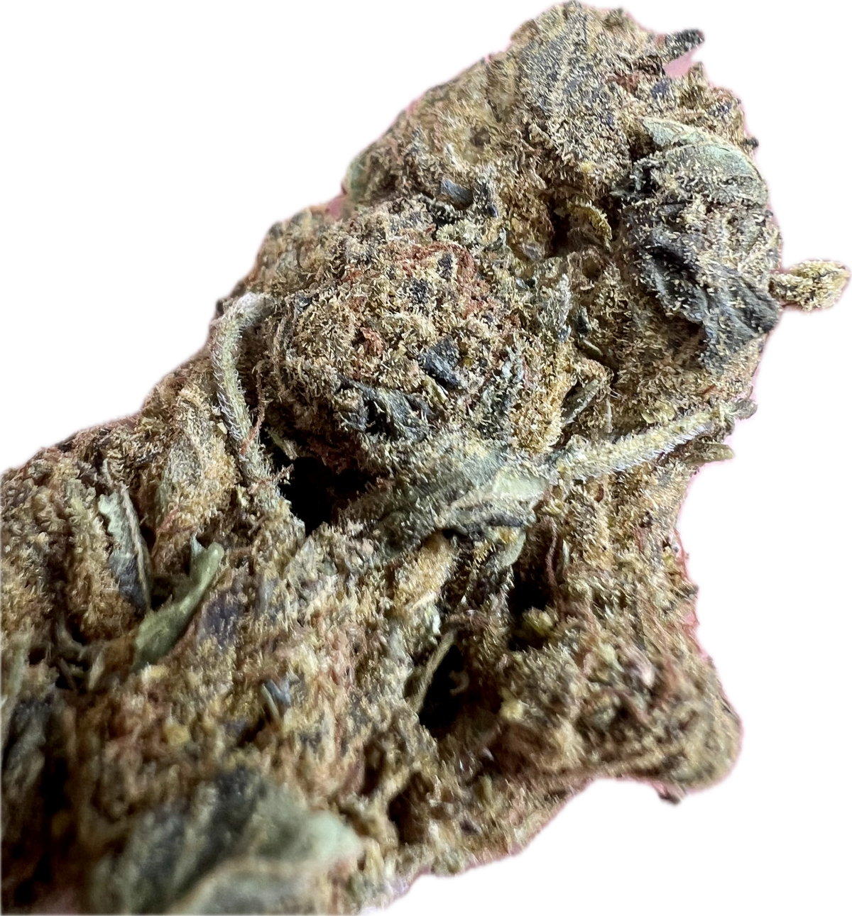 Black Truffle THCA Hemp Flowers