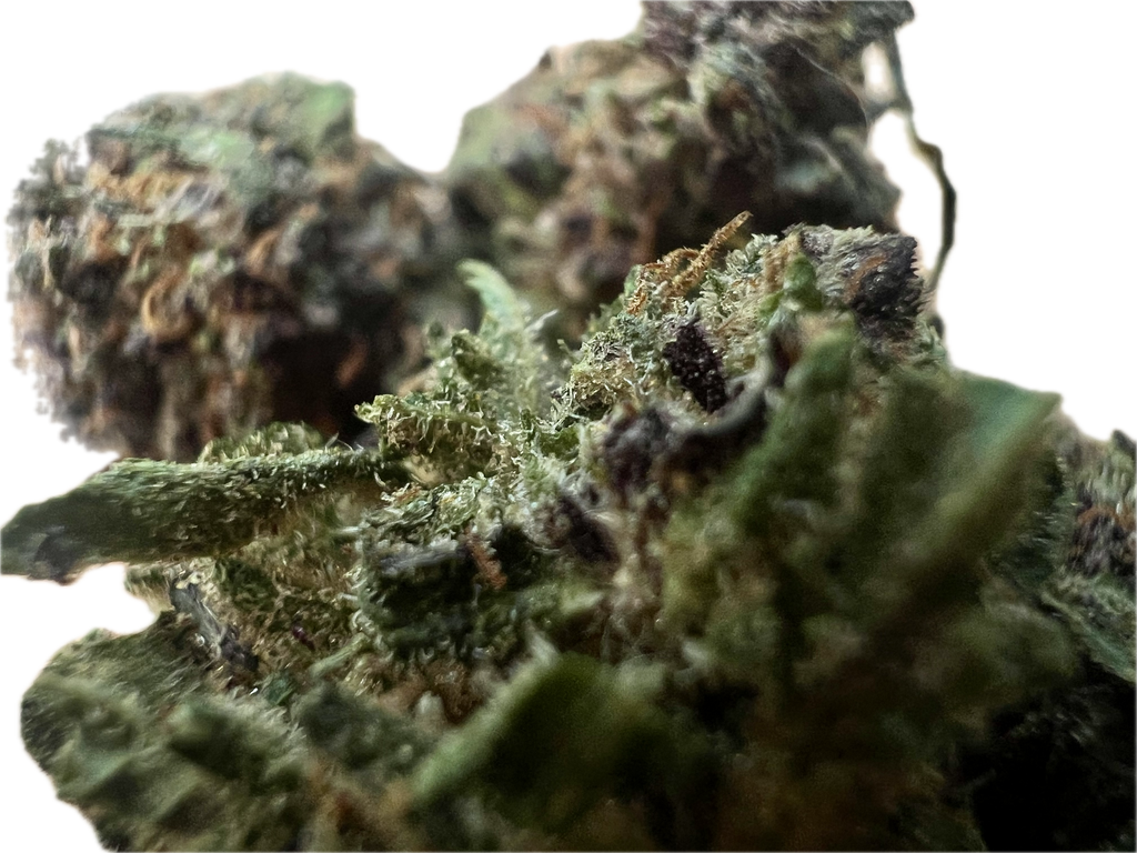 Legendary Platinum OG CBD Hemp Flowers
