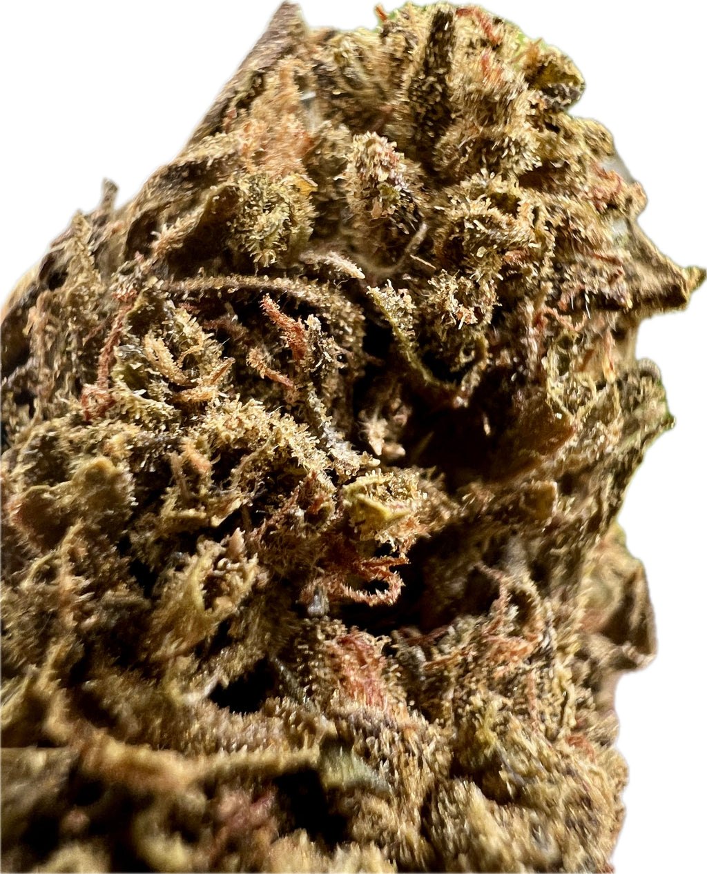 Jungle Driver THCA Hemp Flower