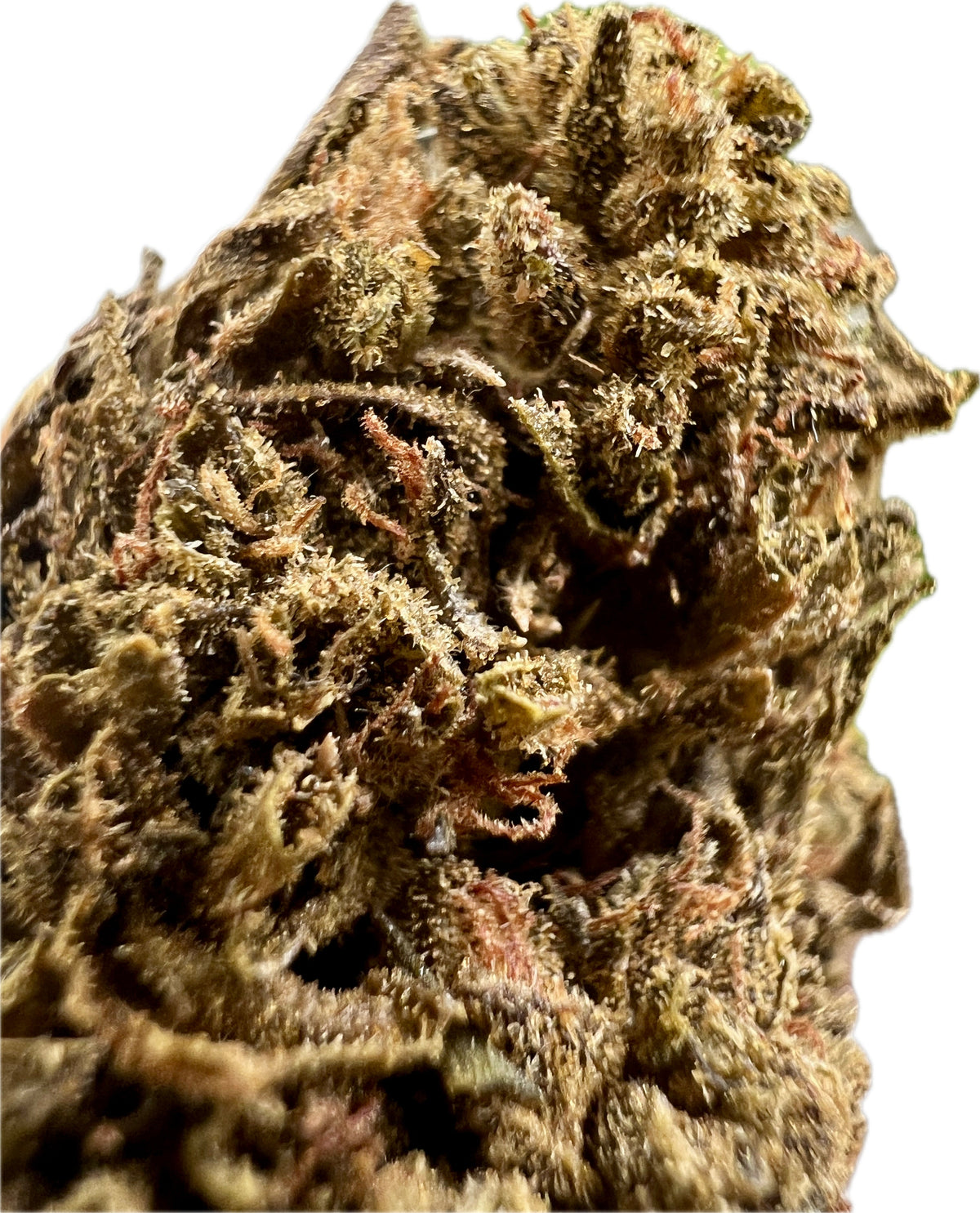 Jungle Driver THCA Hemp Flower