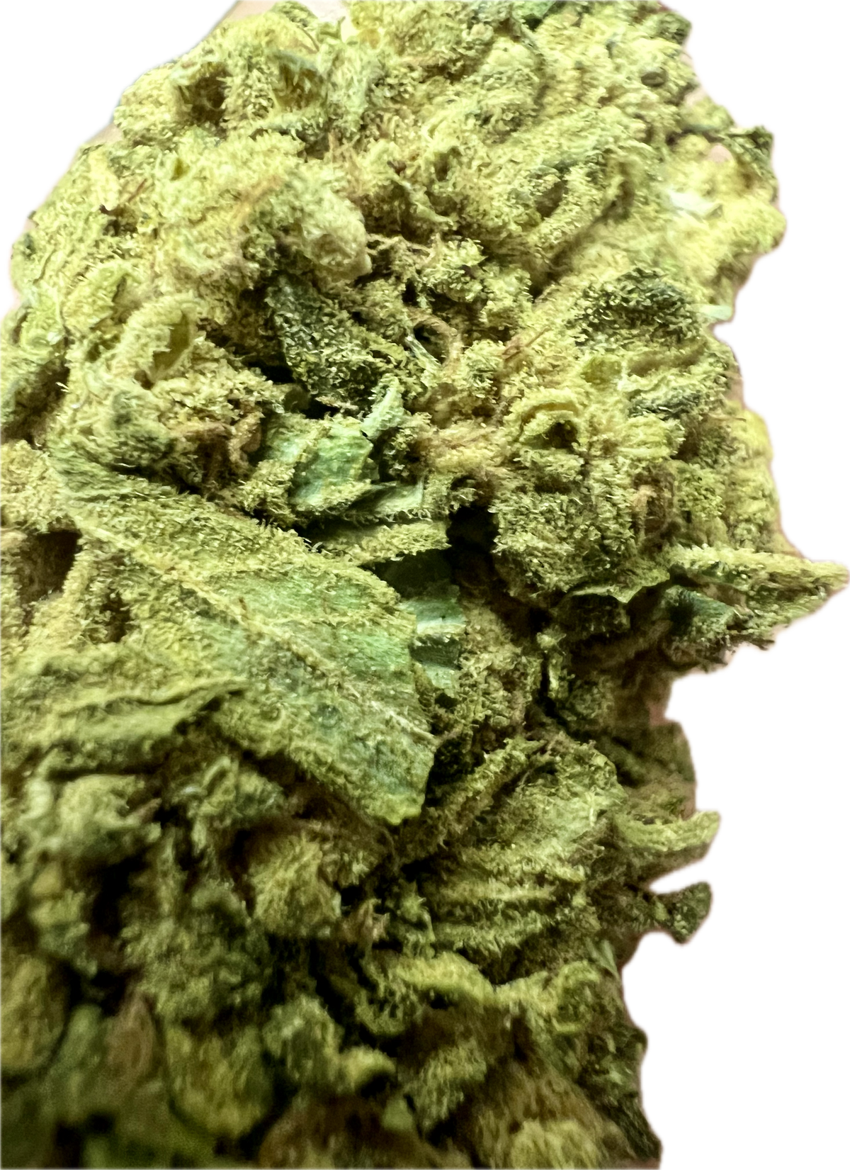 Sour G CBG Hemp Flowers