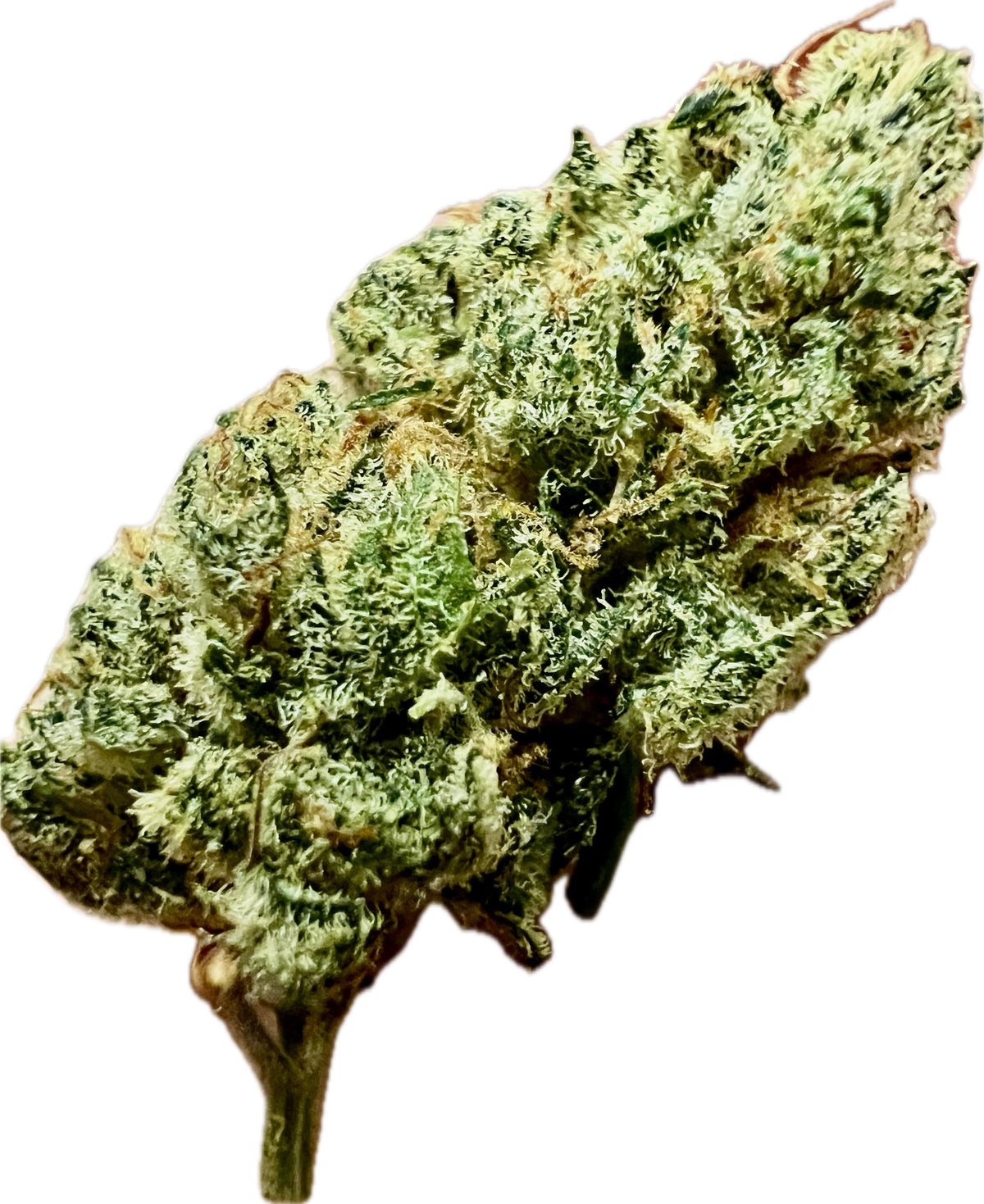 Indoor Big Apple Jack CBD Hemp Flowers