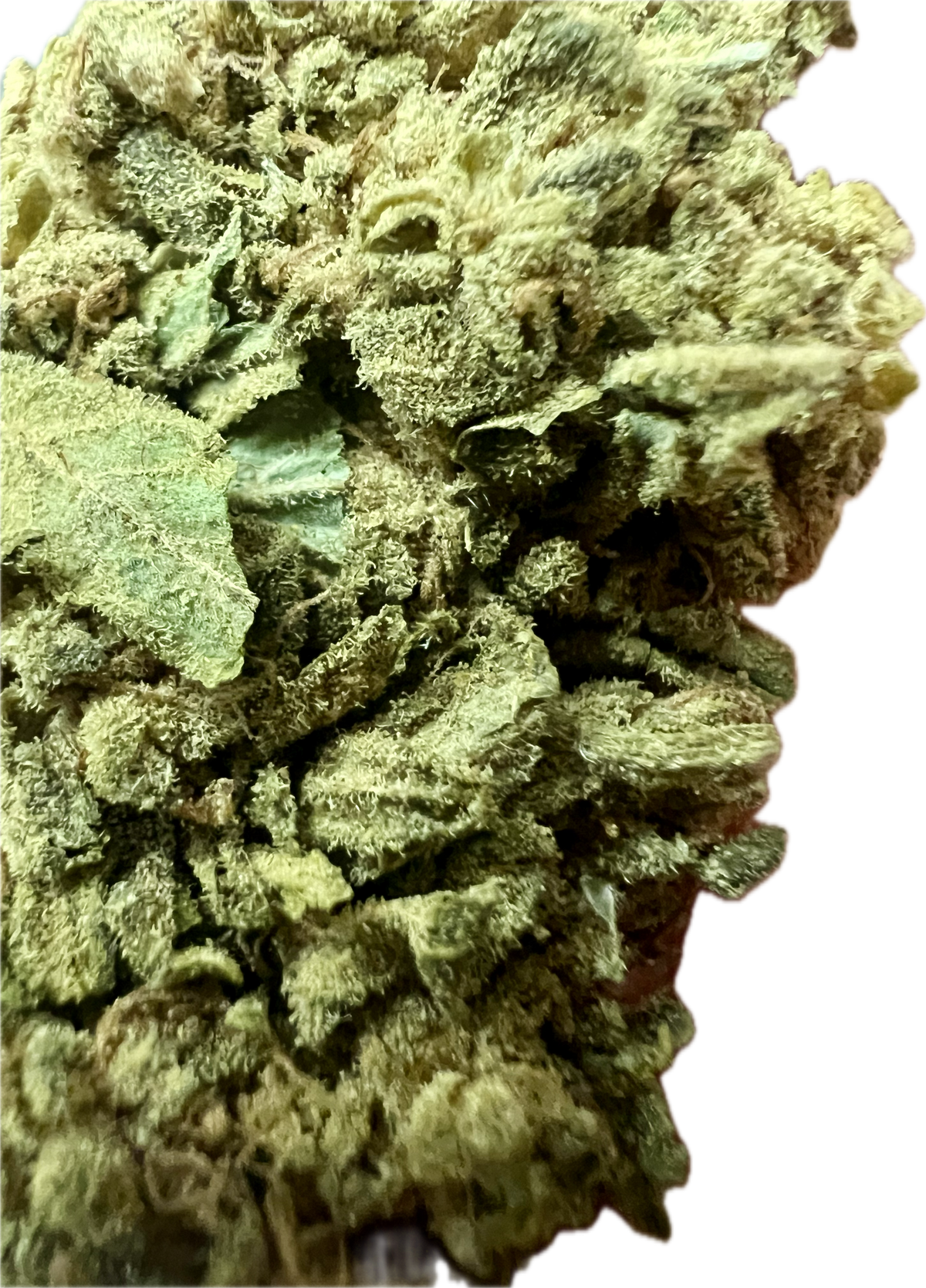 Sour G CBG Hemp Flowers