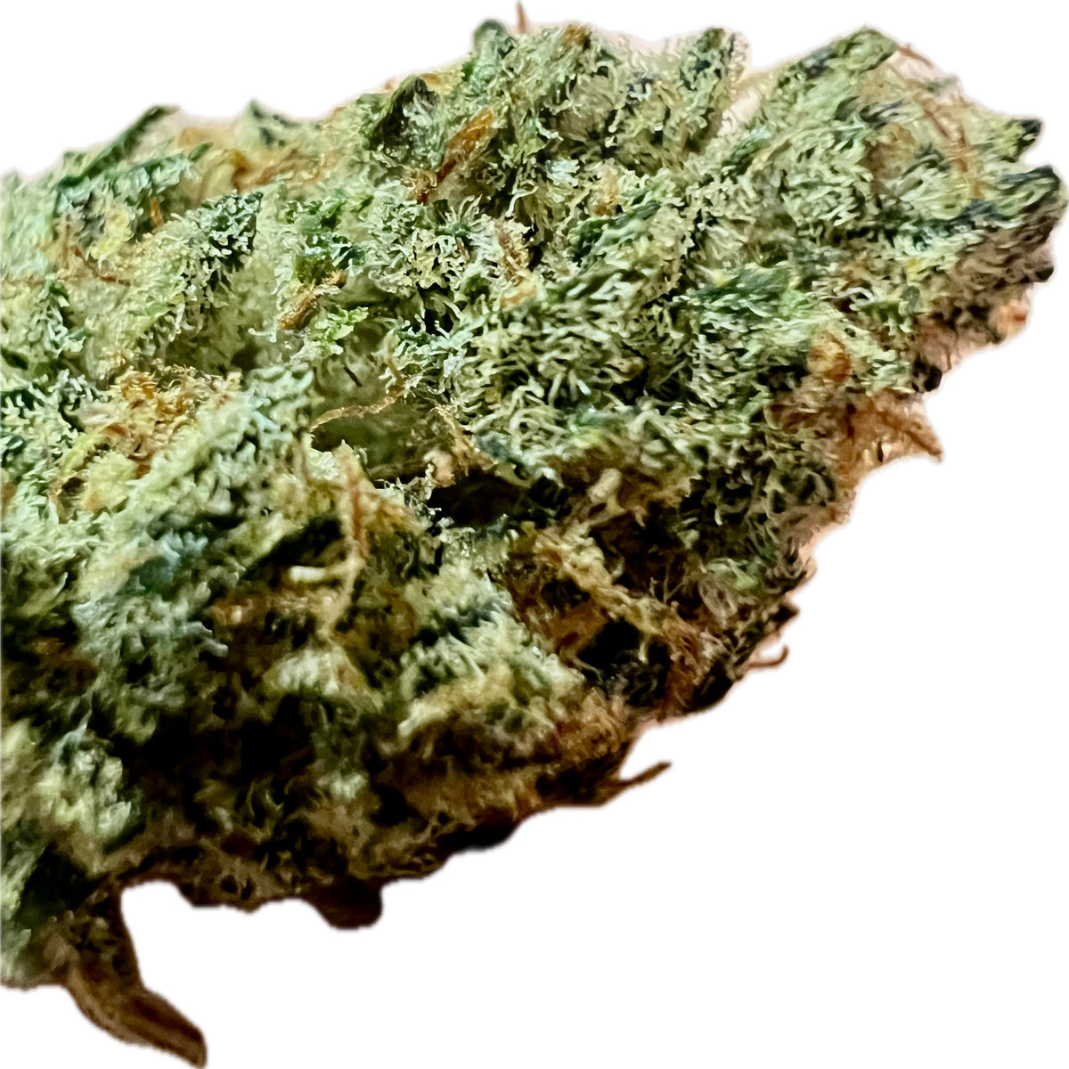 Indoor Big Apple Jack CBD Hemp Flowers
