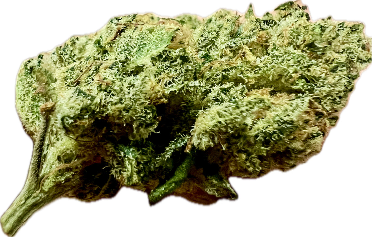 Indoor Big Apple Jack CBD Hemp Flowers