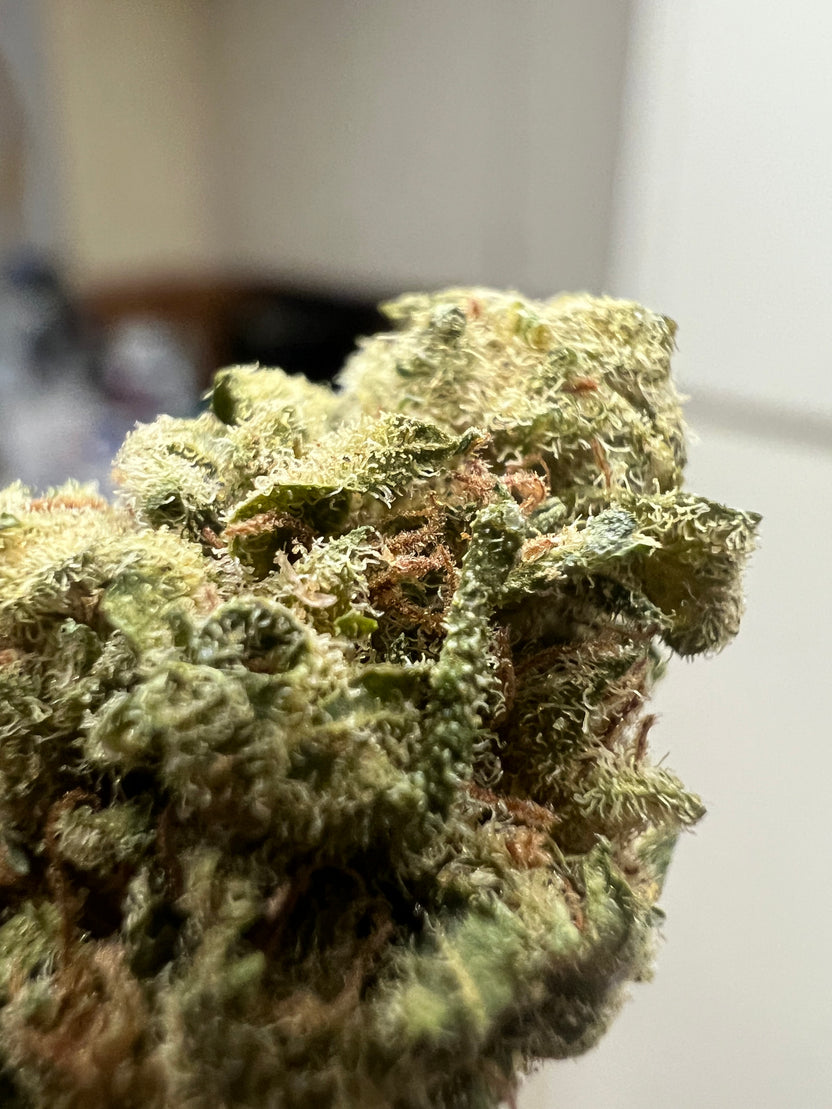 Suver Haze CBD Hemp Flower