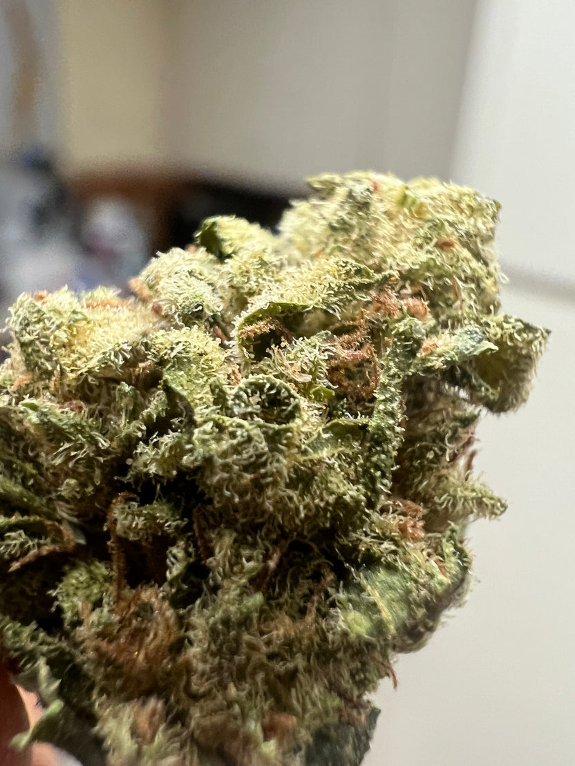 Suver Haze CBD Hemp Flower
