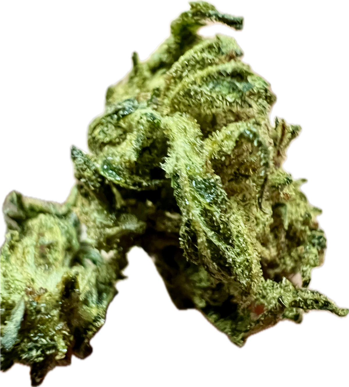 Sour Hawaiian Haze THCA Hemp Flower