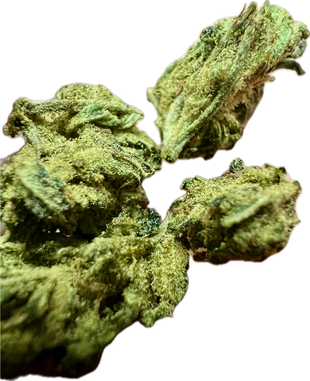Sour Hawaiian Haze THCA Hemp Flower