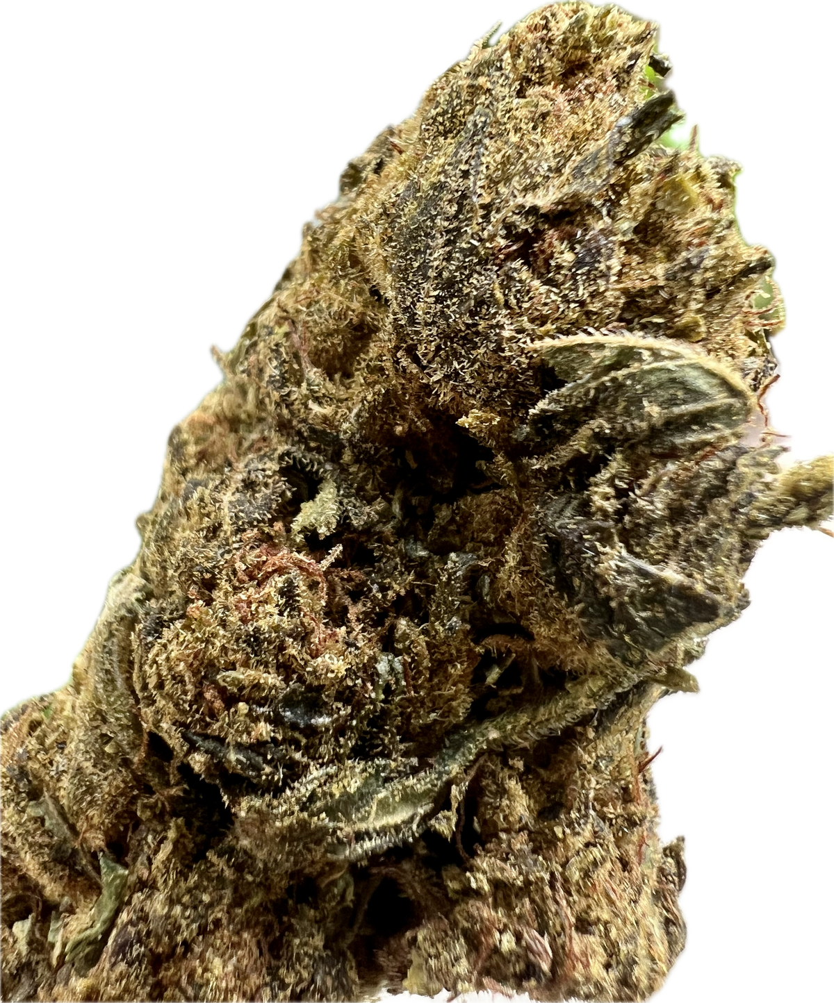 Black Truffle THCA Hemp Flowers