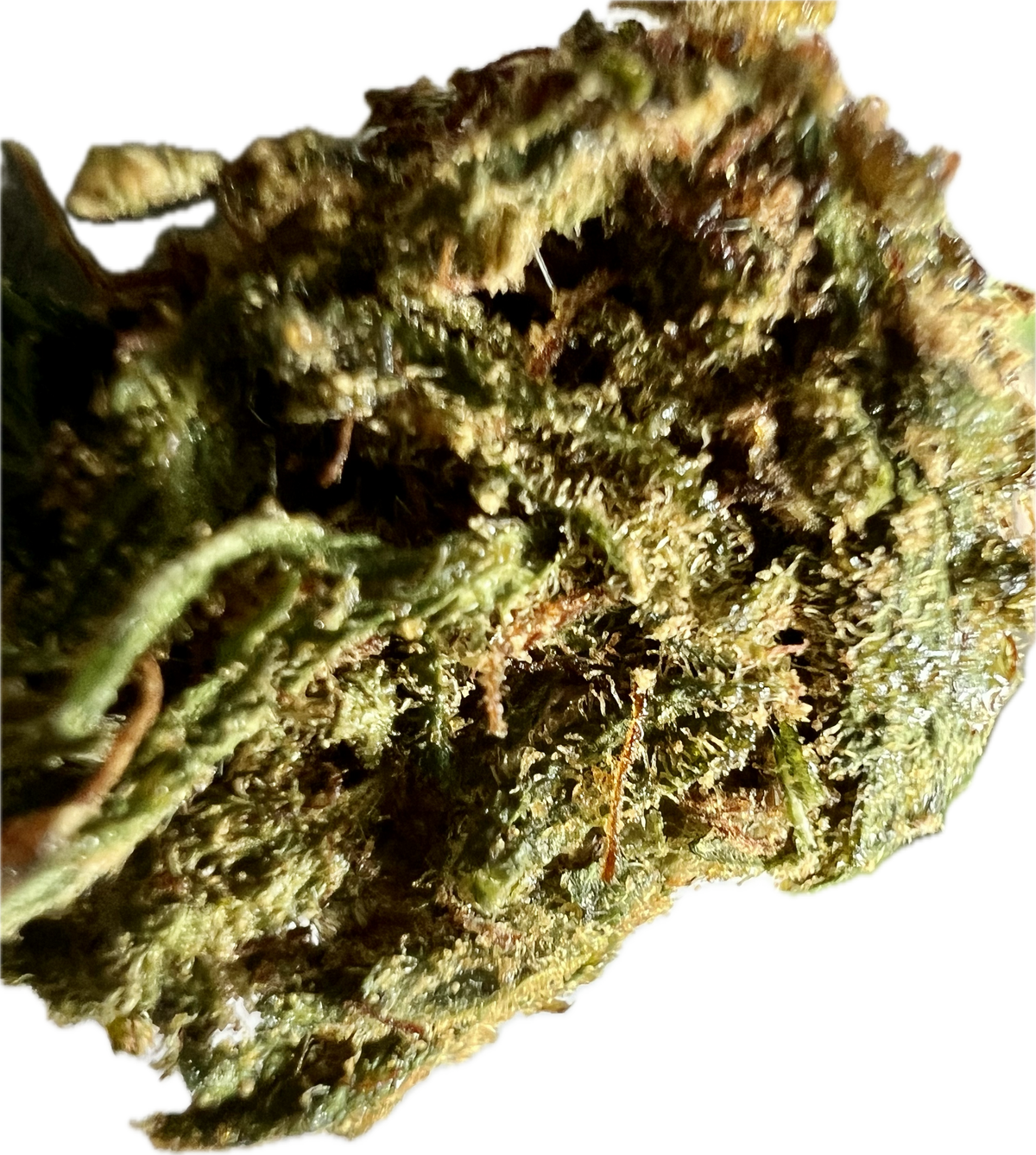 Super Sour Lifter THCA Hemp Flower