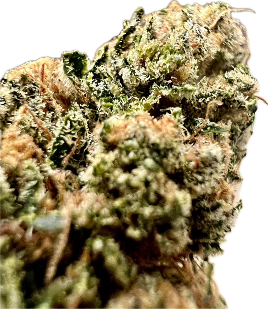 Indoor Big Apple Jack CBD Hemp Flowers