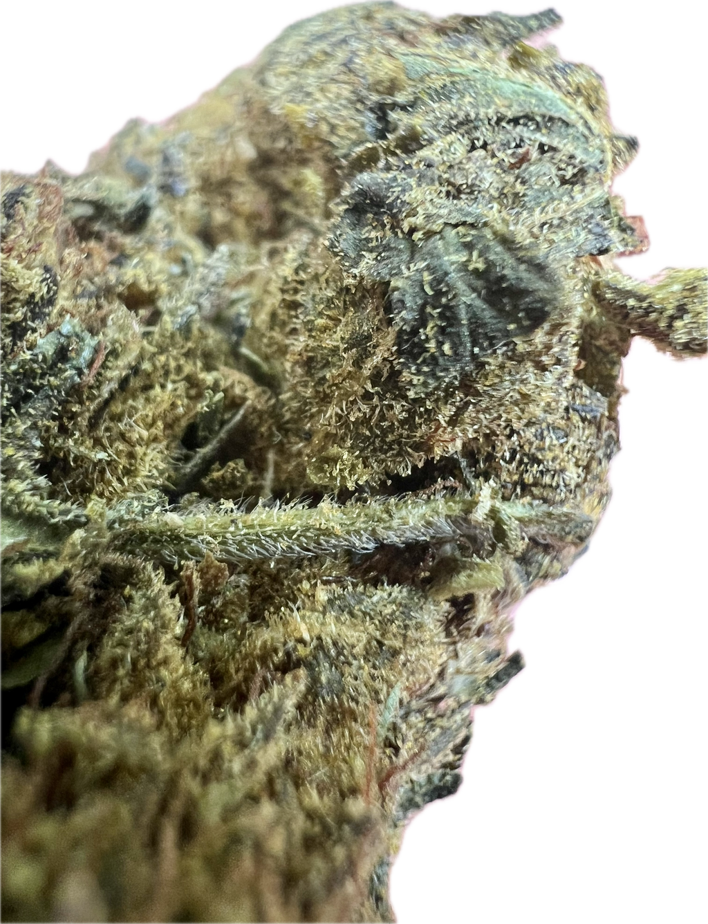 Black Truffle THCA Hemp Flowers