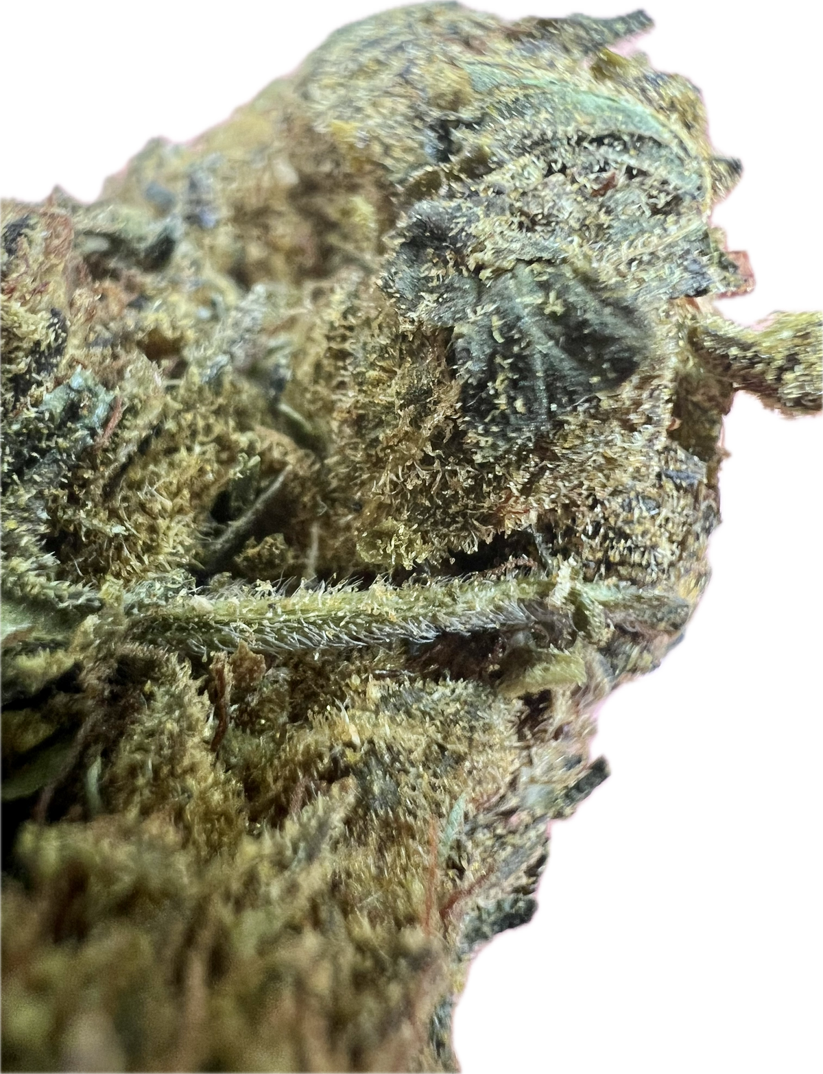 Black Truffle THCA Hemp Flowers