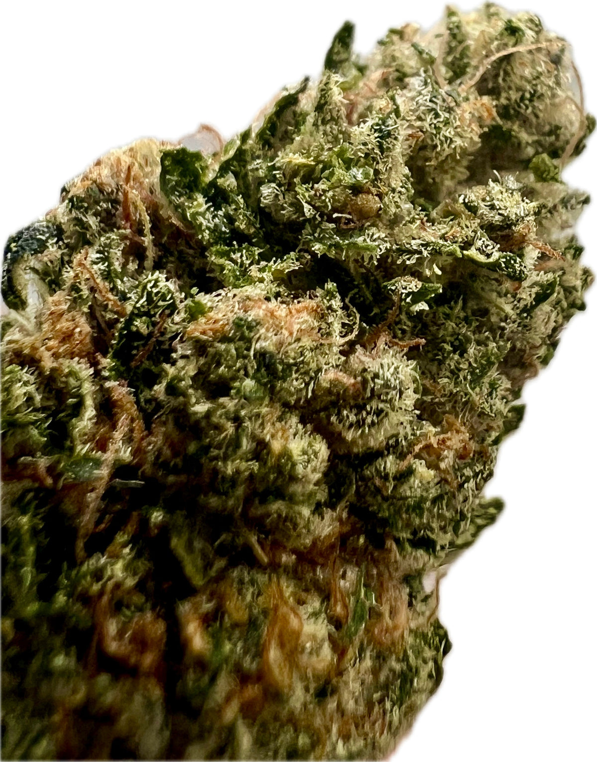 Indoor Big Apple Jack CBD Hemp Flowers