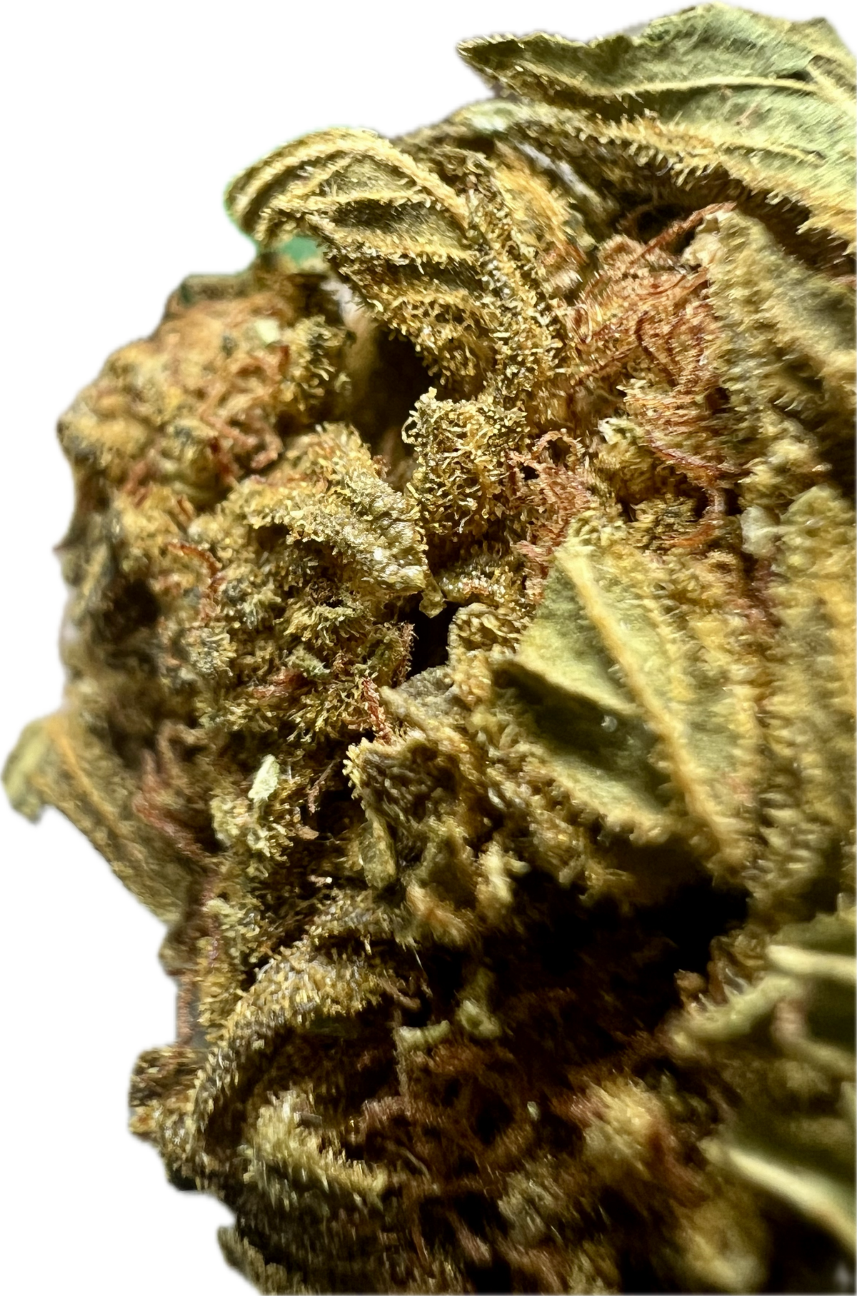 Crack Smuggler THCA Hemp Flower